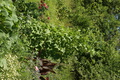 dsc02883.jpg
