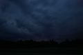 dsc02890.jpg