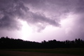 dsc02893.jpg