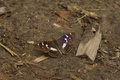 dsc02907.jpg