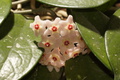 DSC00528.jpg