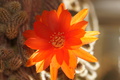 DSC00542.jpg
