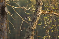 DSC00566.jpg