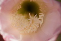 DSC00620.jpg