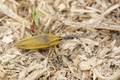 DSC00695.jpg