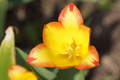 DSC00729.jpg