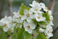 DSC00747.jpg