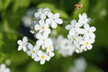 DSC00760.jpg