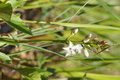 DSC00775.jpg