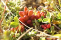 DSC00872.jpg