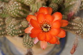 DSC00963.jpg