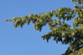 DSC01002.jpg