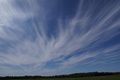 DSC01004.jpg