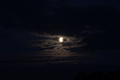 DSC01011.jpg