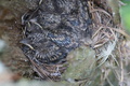 DSC01086.jpg