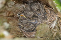 DSC01087.jpg