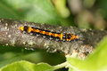 DSC01093.jpg