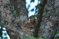 DSC01123.jpg