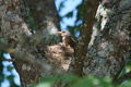 DSC01128.jpg