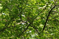 DSC01144.jpg