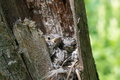 DSC01145.jpg