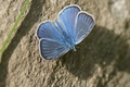 DSC01154.jpg