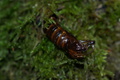 DSC01243.jpg