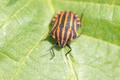 DSC01255.jpg