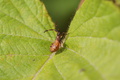 DSC01265.jpg