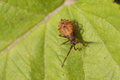 DSC01270.jpg