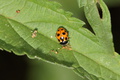 DSC01276.jpg