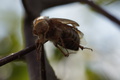 DSC01277.jpg