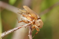 DSC01279.jpg