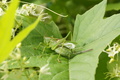 DSC01284.jpg