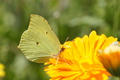 DSC01294.jpg