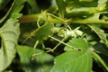 DSC01301.jpg