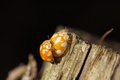 DSC01303.jpg