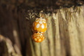 DSC01306.jpg