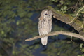 DSC01366.jpg