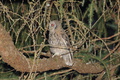 DSC01372.jpg