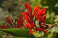 DSC01382.jpg