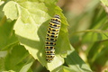 DSC01392.jpg