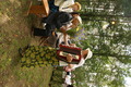 dsc02052.jpg