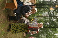 dsc02054.jpg
