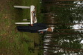 dsc02078.jpg