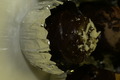 dsc02184.jpg