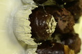 dsc02185.jpg