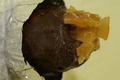 dsc02192.jpg
