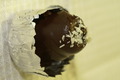 dsc02193.jpg