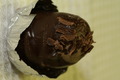 dsc02196.jpg